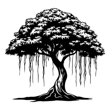 Minimalist oak tree vector illustration Only black and white
Detailed maple tree with dense foliage vector Only black and white