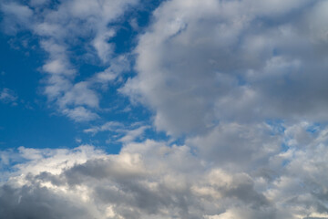 Fototapeta premium White clouds on a summer blue sky for background or wallpaper design. Majestic cumulus clouds float across the endless sky, their graceful forms painting a mesmerizing canvas of beauty and grandeur. 