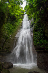 Obraz premium Majestic view of Coban Glotak waterfall hidden inside a lush tropical jungle on Mount Kawi, beautiful cascading water stream on a rocky cliff in Malang, Indonesia