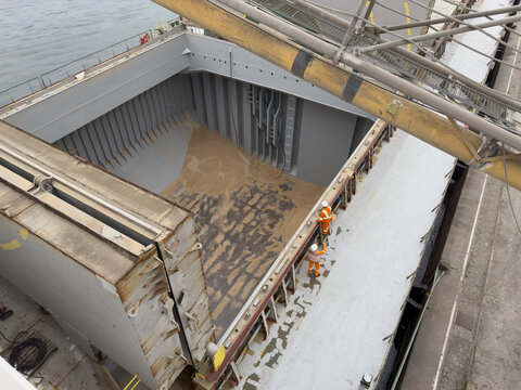 cargo compartment of bulk carrier ship. remaining wheat cargo. stevedore and crew member on deck for control discharging.
