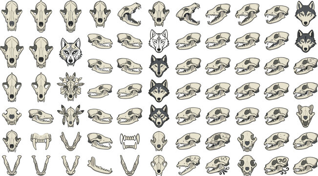 Massive Animal Skull and Wolf Head Mascot Vector Icon Bundle with Carnivore Bones Jaws Teeth and Mystical Wildlife Anatomy Graphic Illustration Assets