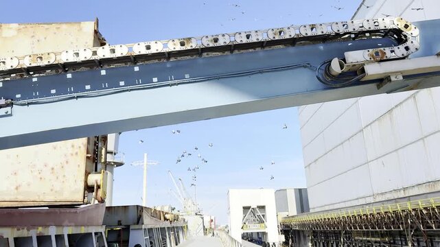 port stevedore use lifting device for came to the ship cargo hold.