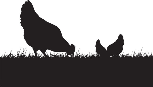 Black silhouette of rooster and hen in grass chicken chickens