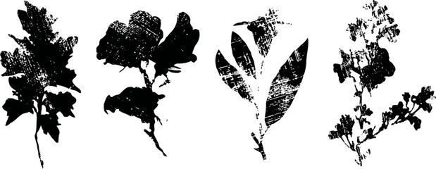 Obraz premium black silhouette set of wild herbs and leafy branches isolated on white background