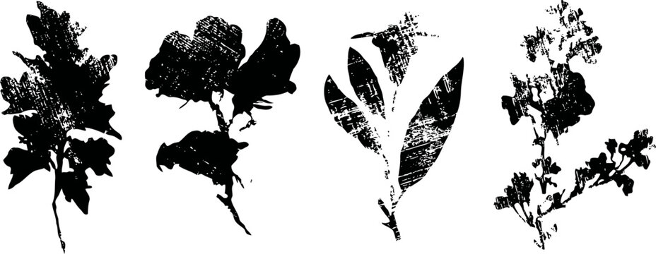 black silhouette set of wild herbs and leafy branches isolated on white background