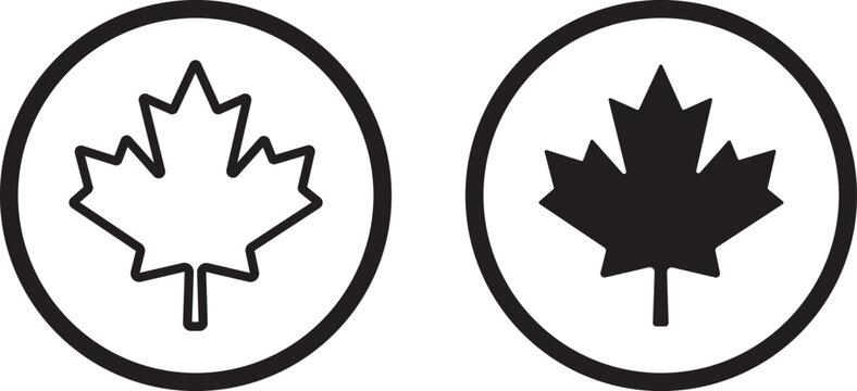 Maple leaf icon. Canada flag sign. Red maple leaves vector illustration. red and black maple leaf canada icon sign vector design. National Canadian emblem. Autumn fall symbol