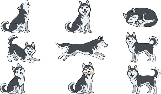 Cute Siberian Husky Dog Character Vector Illustration Set with Running, Howling, Sleeping, Tilting Head, and Playing Poses for Pet Designs