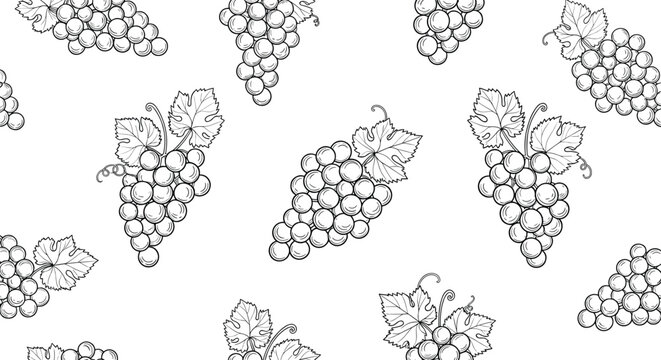 Elegant black and white line art pattern features repeated bunches of grapes with leaves in a seamless vintage-style botanical illustration.