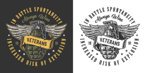 Naklejka premium Vet military logo