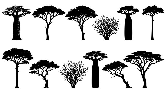 African safari tree silhouettes vector asset pack featuring baobab acacia and wild bush elements isolated on white background