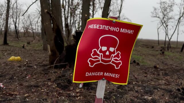 Red skull-and-crossbones mine-warning sign on a marker stake at the edge of a war-damaged forest of charred, shrapnel-scarred trees under an overcast late-autumn sky