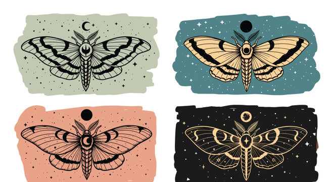 Collection of four vintage style moth illustrations featuring celestial symbols of the moon and stars on colorful backgrounds.
