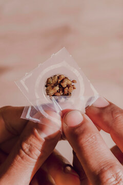 Fresh psilocybin truffles for psychedelic microdosing