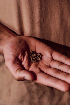 Fresh psilocybin truffles for psychedelic microdosing