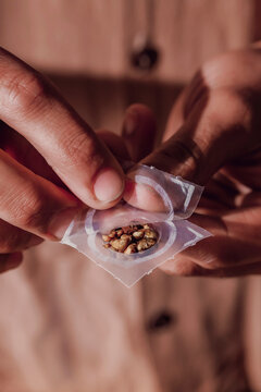 Fresh psilocybin truffles for psychedelic microdosing