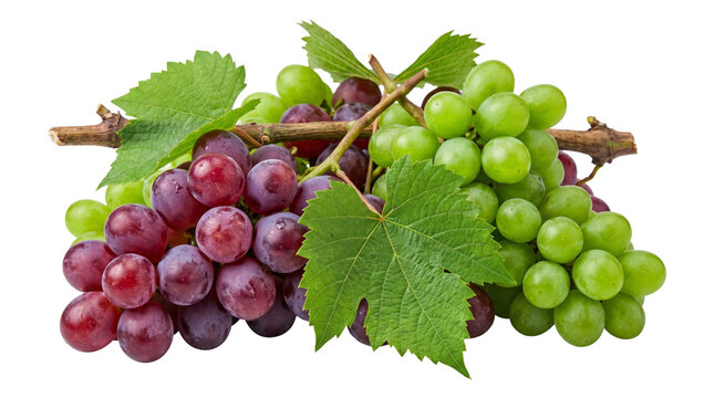 Fresh clusters of red and green grapes with green foliage isolated on transparent background png image.