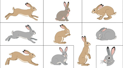 Wild brown hare rabbit character vector illustration set with running jumping sitting sleeping and standing poses in panels © Sujon Shah