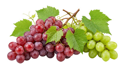 Red and green grapes with leaves on vine isolated on transparent background for fresh fruit design work. © Png ProTeam