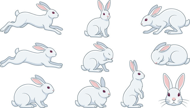 Cute white rabbit bunny character vector illustration set with running jumping sitting sleeping and head portrait poses