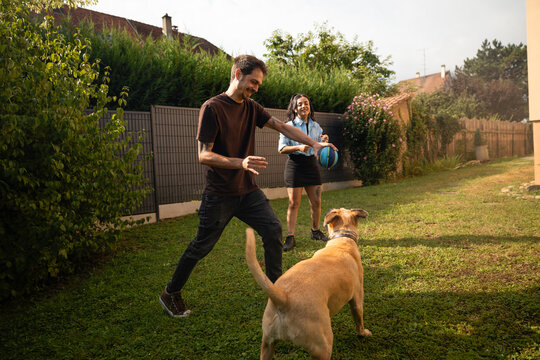 Happy young couple playing with their dog in backyard