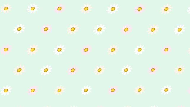 Seamless daisy flower pattern background