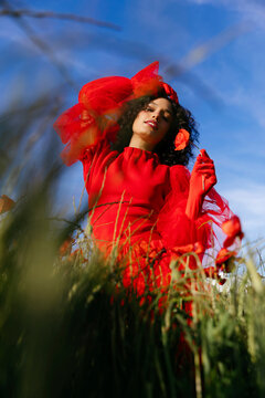 Woman picking poppies in summer field