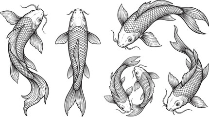 Fototapeta na wymiar Japanese koi fish vector illustration set with detailed line art drawings for tattoo designs and traditional coloring pages