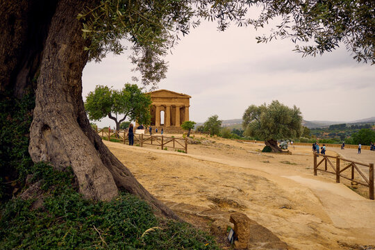 Ancient Ruins of Agrigento, Temple of Heracles