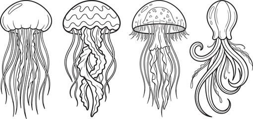 Detailed jellyfish and marine life coloring page vector set with tentacles and decorative patterns for adult relaxation therapy © Sujon Shah