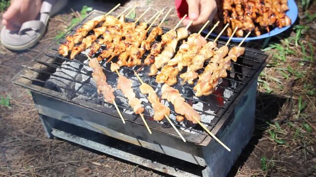 Chicken satay skewers grilling over glowing hot charcoal on an outdoor barbecue rack during a cooking session