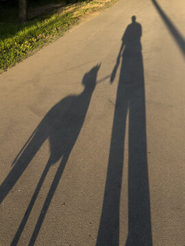 Shadow of a Person With a Dog on a Path During Sunlight
