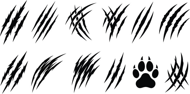 Monster Claw Scratch Marks and Animal Paw Print Vector Set.eps