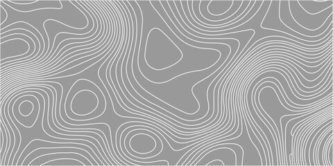 Topographic map contour lines background vector, abstract grey geographic elevation map pattern grid texture template. Detailed white topographic contour lines, grey background © Creative Arts