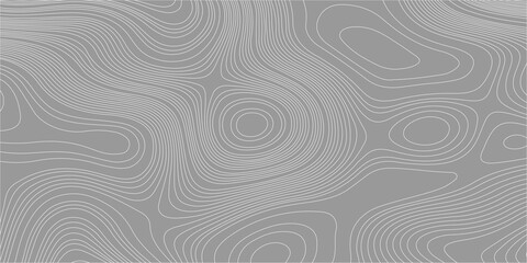 Topographic map contour lines background vector, abstract grey geographic elevation map pattern grid texture template. Detailed white topographic contour lines, grey background © Creative Arts