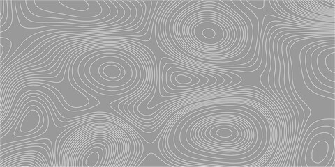 Topographic map contour lines background vector, abstract grey geographic elevation map pattern grid texture template. Detailed white topographic contour lines, grey background © Creative Arts