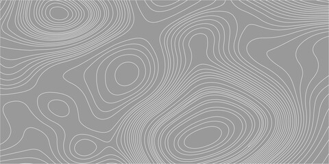 Topographic map contour lines background vector, abstract grey geographic elevation map pattern grid texture template. Detailed white topographic contour lines, grey background © Creative Arts
