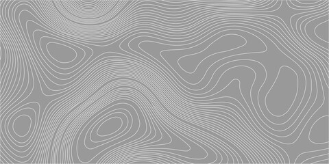 Topographic map contour lines background vector, abstract grey geographic elevation map pattern grid texture template. Detailed white topographic contour lines, grey background © Creative Arts