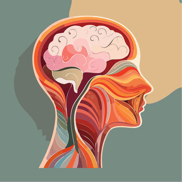 Cerveau humain color&eacute; en illustration anatomique