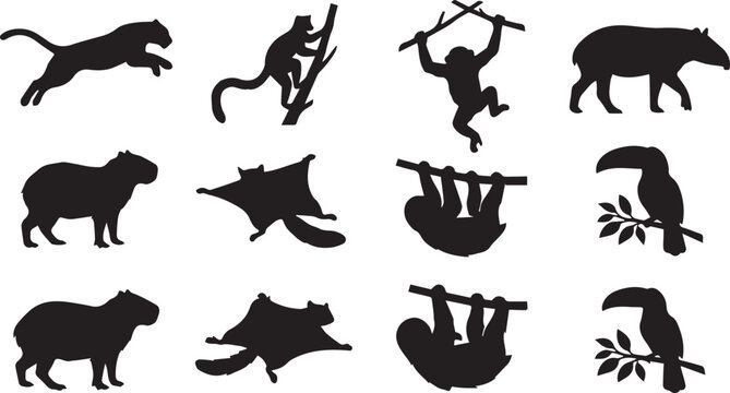 Set of tropical rainforest jungle animal silhouettes isolated on white background featuring capybara sloth and toucan