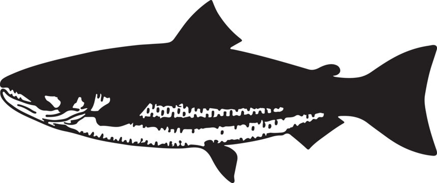 salmon vector silhouette