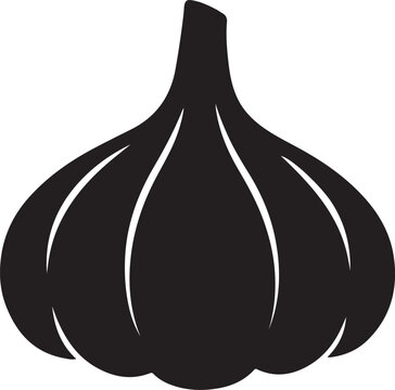 vector illustration of a garlic