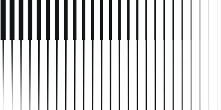 A minimalist, high-contrast black and white abstract graphic pattern featuring vertical parallel lines.