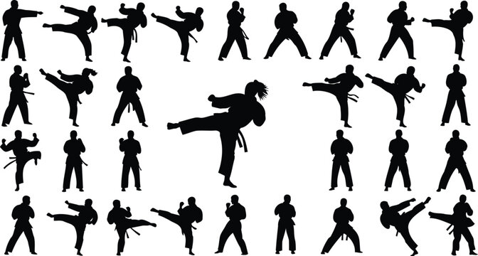 Karate fighters perform various martial arts.