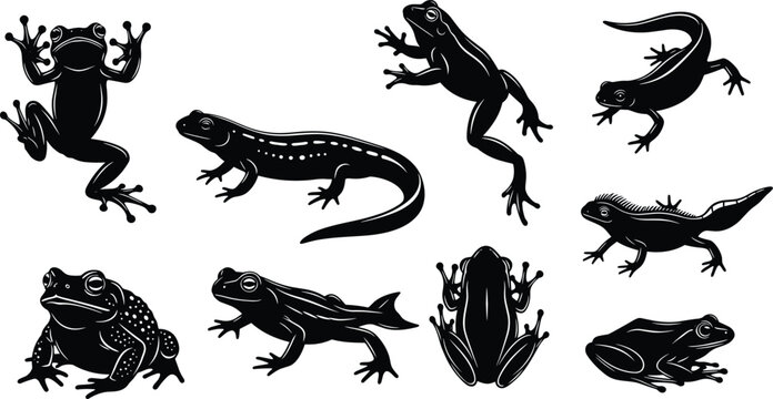 Set of black and white amphibian silhouettes featuring jumping frogs toads and salamanders for vector graphic design