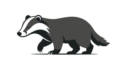 European badger walking profile isolated on white background © Muhammad