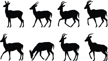 Black silhouettes of gazelle antelopes standing and walking in various natural poses © Milon Store