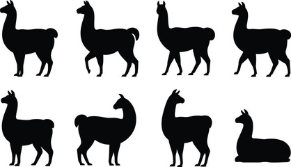 Set of black llama silhouettes in various standing and sitting poses for creative design © Milon Store