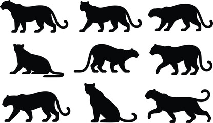 Set of black panther silhouettes in various walking and sitting poses for animal design © Milon Store