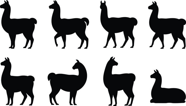 Set of black llama silhouettes in various standing and sitting poses for creative design