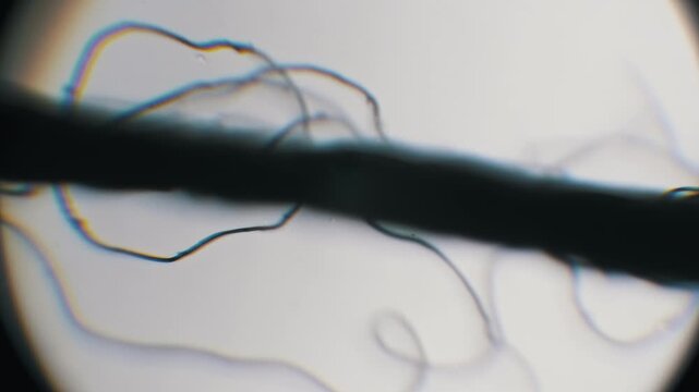 Macro view of a black sewing thread showing single strand fibers against a white background. Chromatic aberration from the optical microscope highlights the texture.